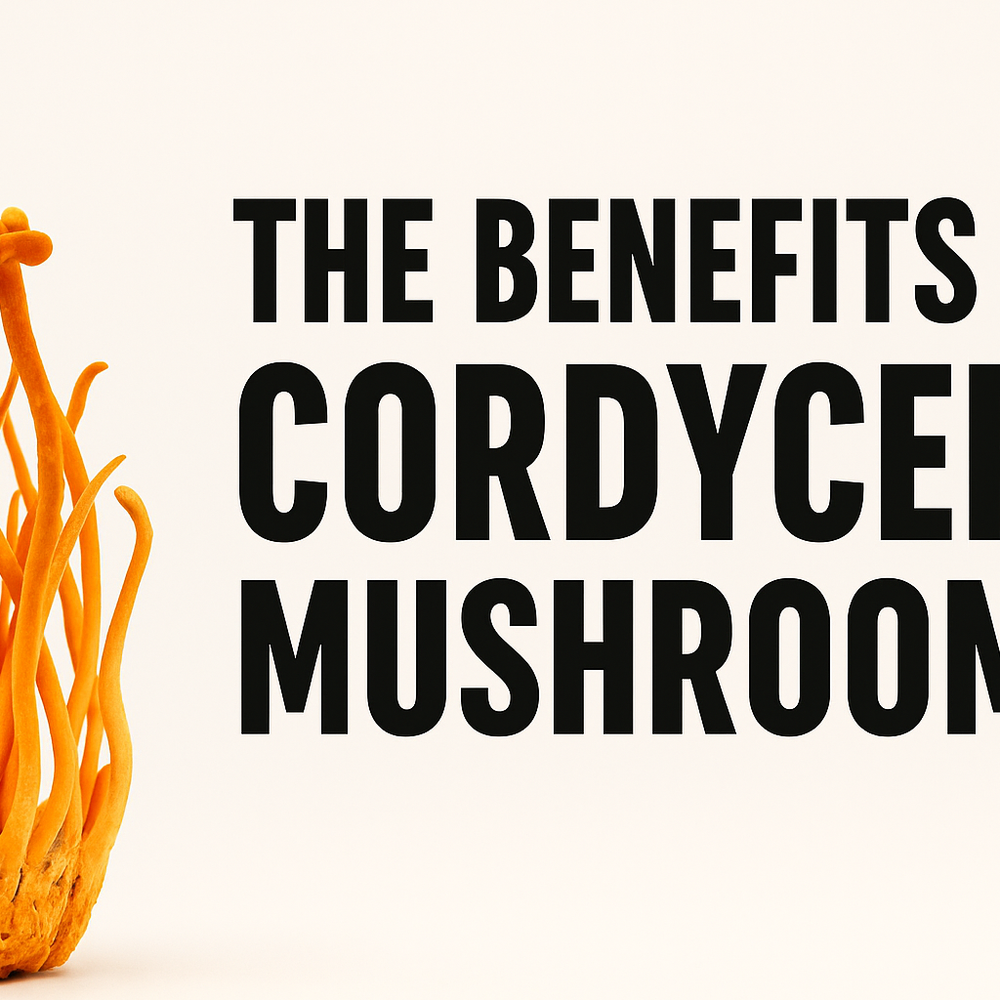 Cordyceps Militaris: The Ancient Mushroom for Natural Energy, Stamina & Immunity