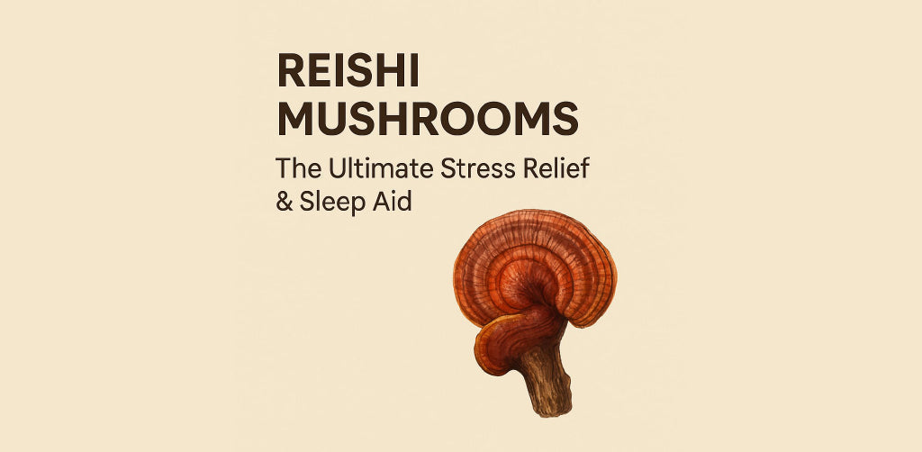 Reishi Isn’t Just for Sleep – It’s for Survival