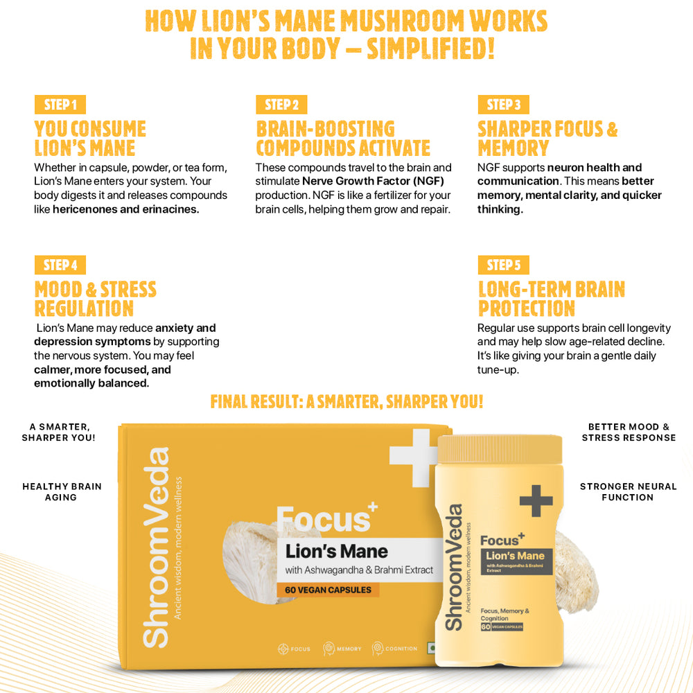 
                  
                    Focus⁺ Lions mane Extract With Ashwagandha & Brahmi Extract
                  
                
