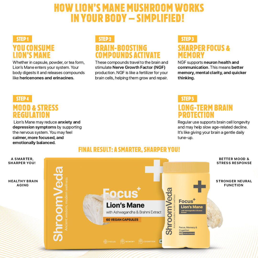 
                  
                    Focus⁺ Lions mane Extract With Ashwagandha & Brahmi Extract
                  
                