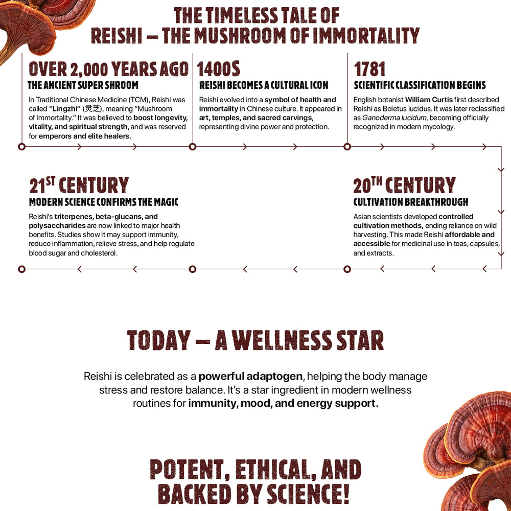 
                  
                    Zen° Reishi Extract With Gotukola, Jatamansi & Tulsi
                  
                