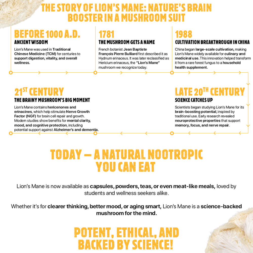 
                  
                    Focus⁺ Lions mane Extract With Ashwagandha & Brahmi Extract
                  
                