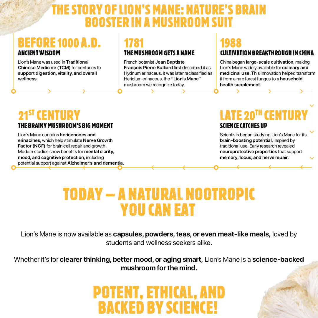 
                  
                    Focus⁺ Lions mane Extract With Ashwagandha & Brahmi Extract
                  
                