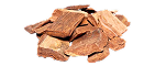 Arjuna Extract — 100 mg
