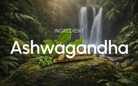 What this ingredient is