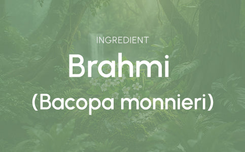 What this ingredient is