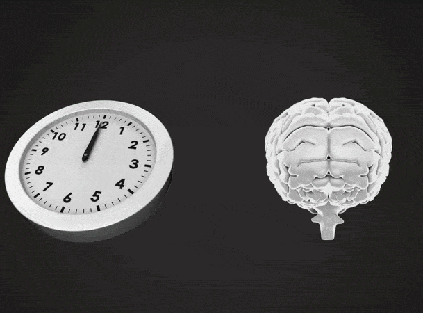 Daily Mental Performance