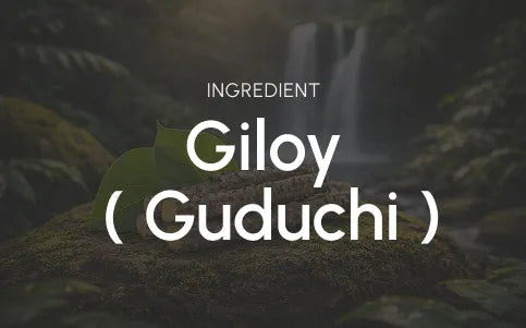 What this ingredient is