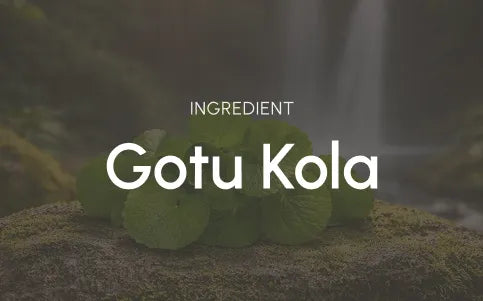 What this ingredient is