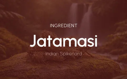 What this ingredient is