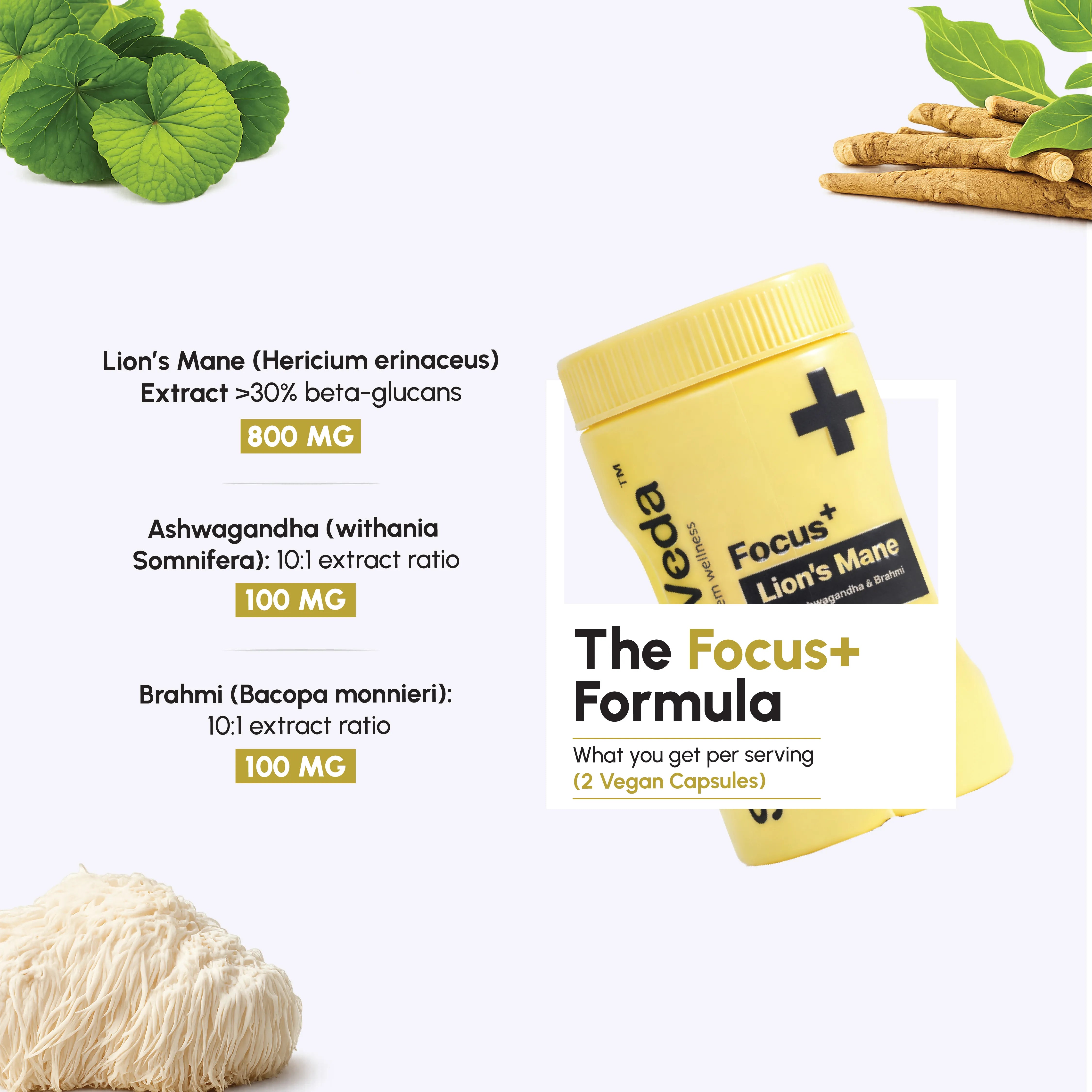 ShroomVeda Focus⁺ (60 vegan capsules)