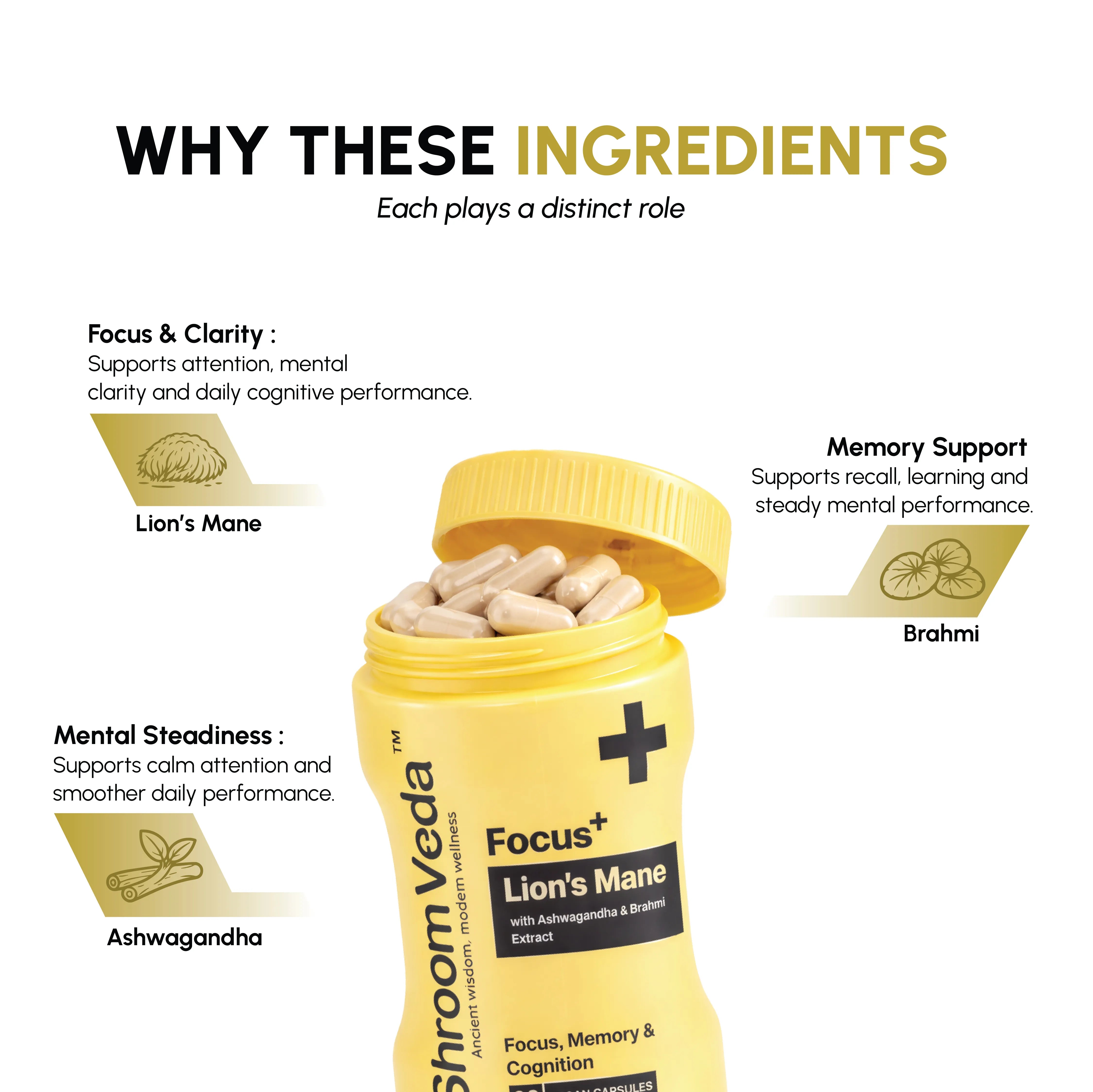 ShroomVeda Focus⁺ (60 vegan capsules)