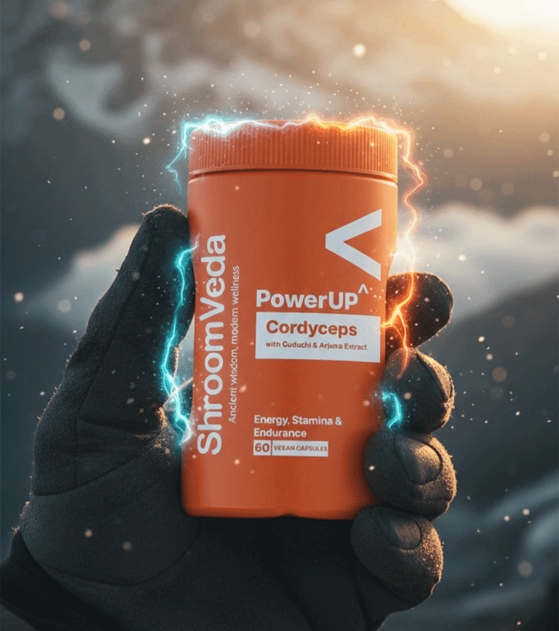 How to Use PowerUP^