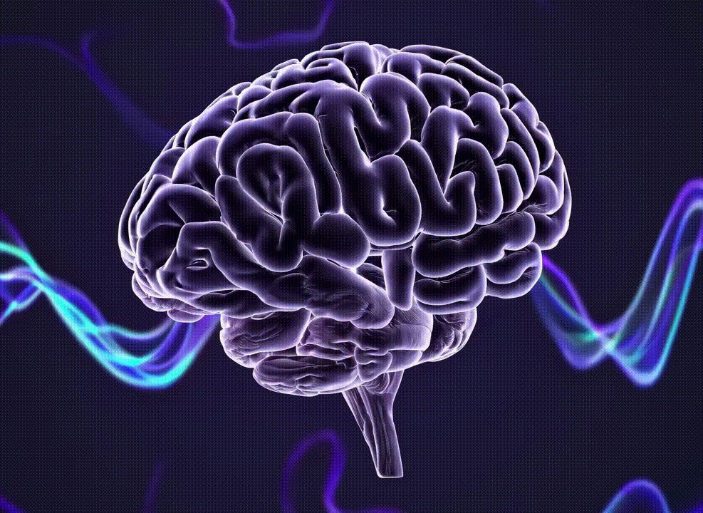 Stress Resilience
