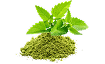 Tulsi Extract (10:1) - 100 mg