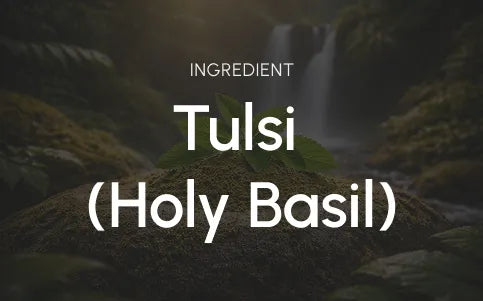 What this ingredient is