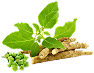 Ashwagandha Extract (10:1) — 100 mg
