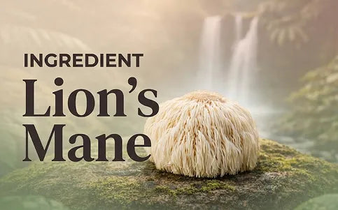 What this ingredient is