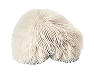 Lion’s Mane Extract — 800 mg