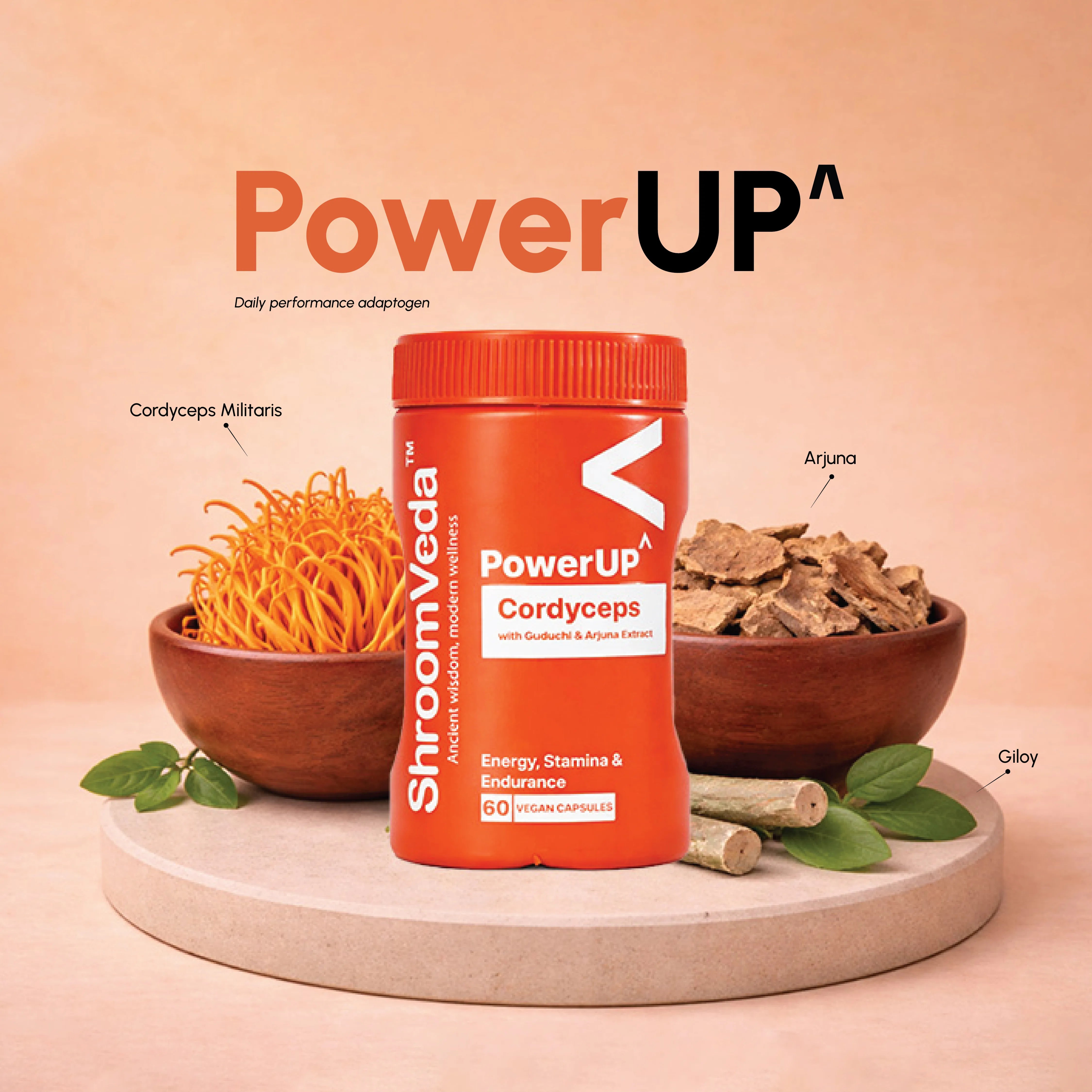 ShroomVeda PowerUP^ (60 vegan capsules)