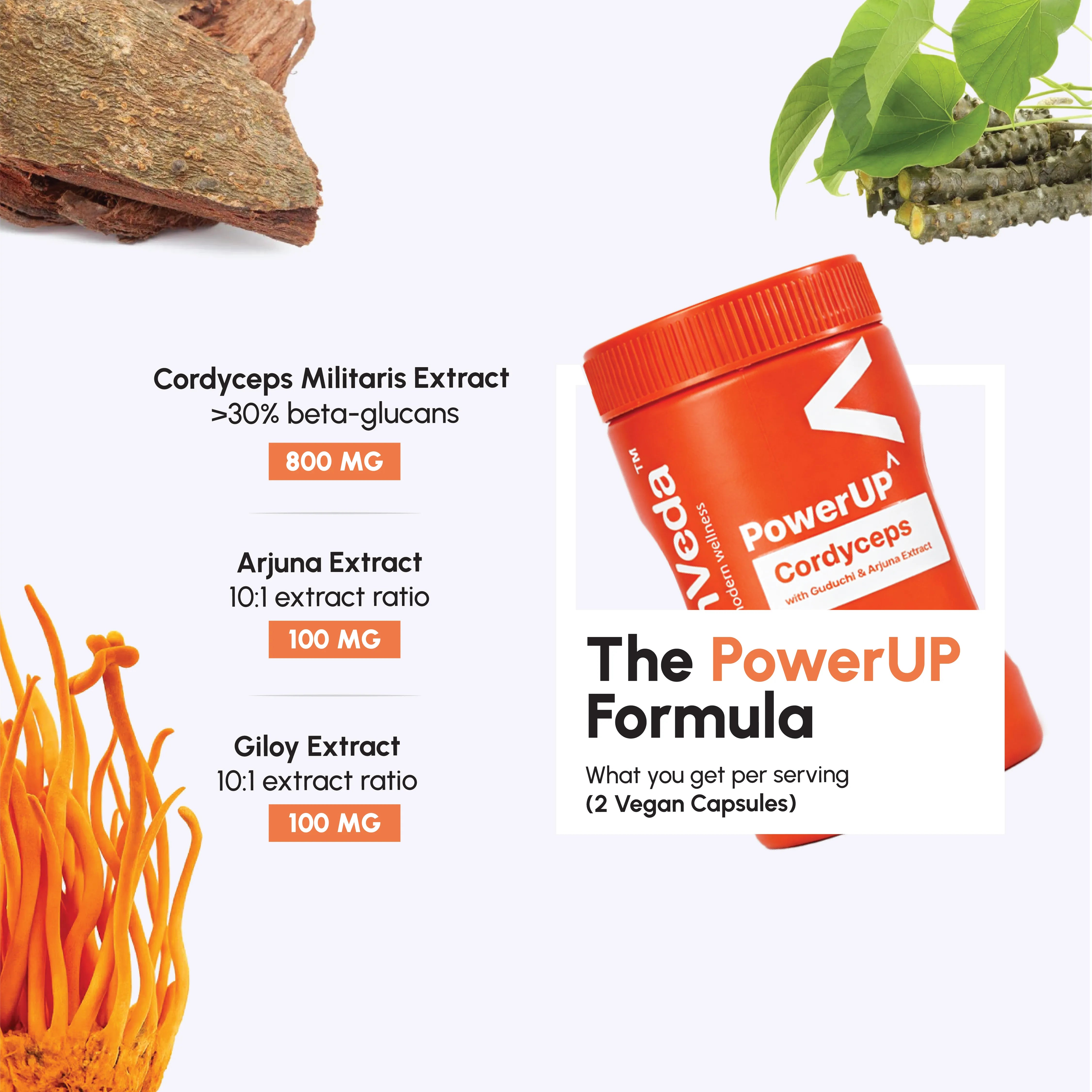 ShroomVeda PowerUP^ (60 vegan capsules)