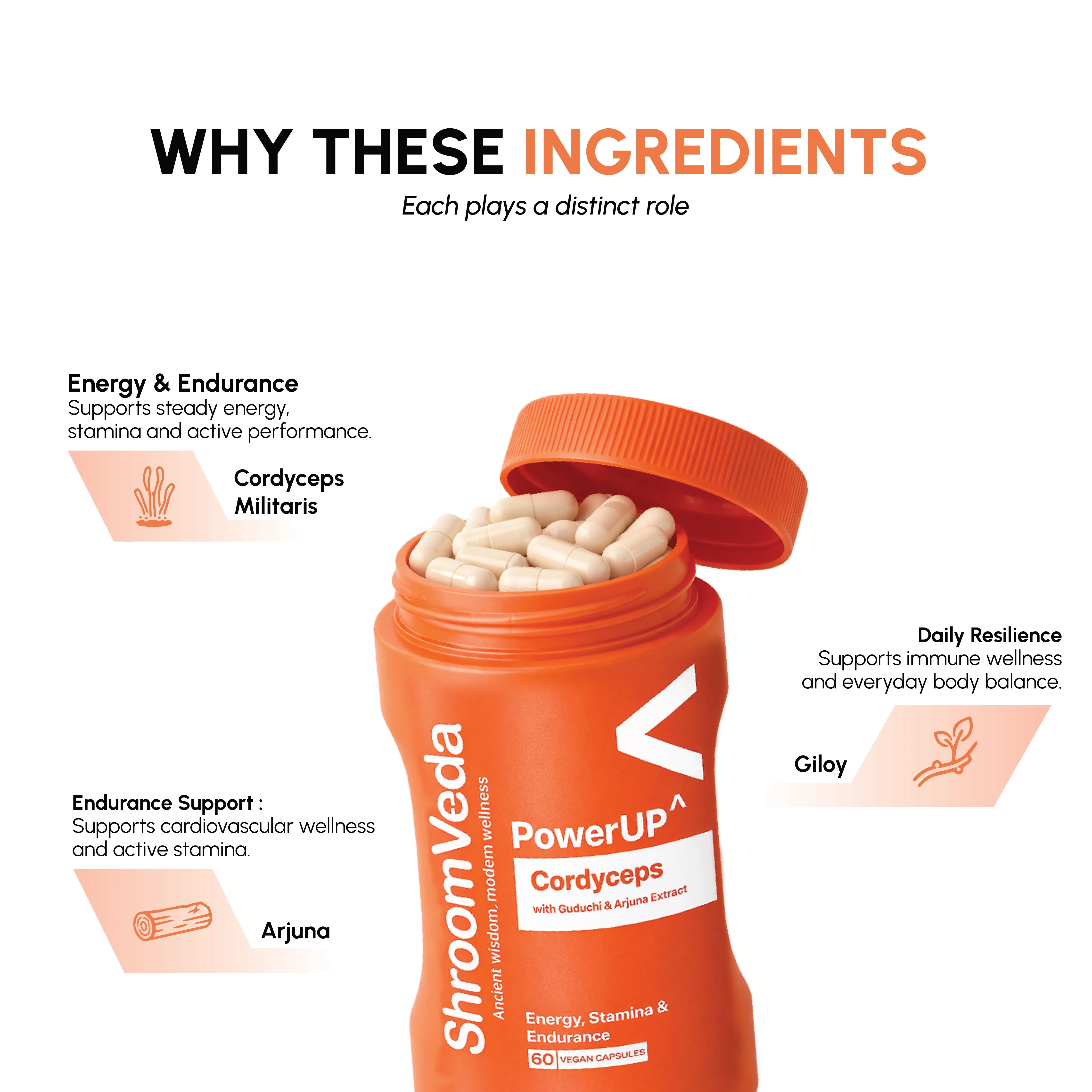 ShroomVeda PowerUP^ (60 vegan capsules)